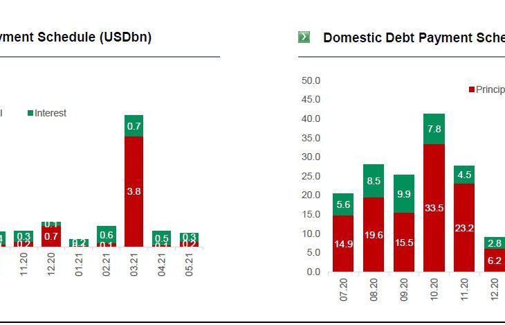 BNP Paribas TEB:  Outlook for Turkish Economy