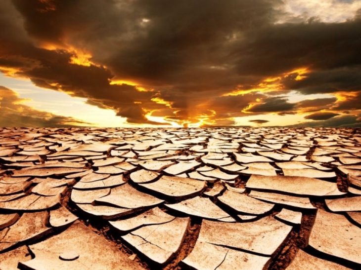 Northern Forests Research Association: Enviromental destruction will have severe damages