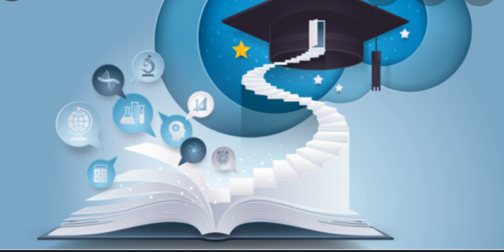 Turkish Private Schooling struggles amid pandemic era