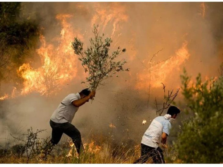 UPDATE:  Forest fires still out of control in South