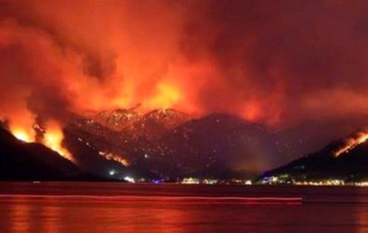 Turkey spent only fraction of forest protection budget before wildfires erupted