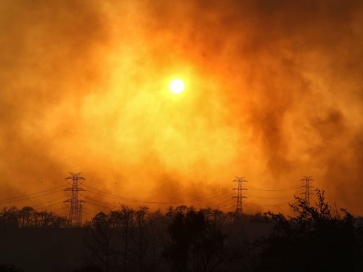 Turkey’s wildfires tell a devastating story of neglect and failure