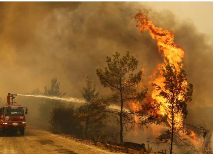 Ahval:  Wildfire arsonist in Turkey alleged member of ruling alliance youth