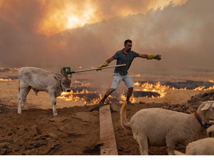 Wildfires:  First damage reports are filed