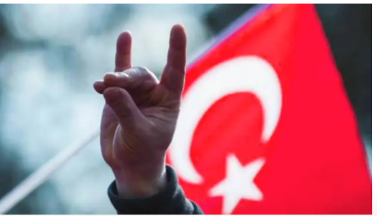 Ahval News:  U.S. House passes amendment, calling for Turkish Grey Wolves to be designated as terrorists