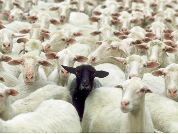 Turkey the black sheep among tightening EM Central Banks