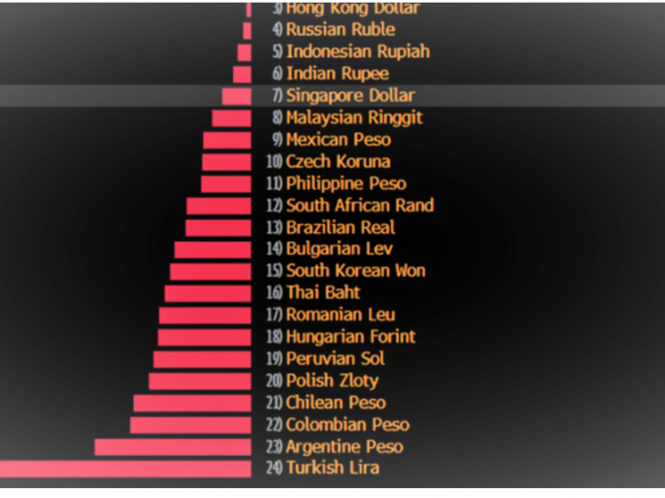 TUSIAD Chief Economist:  Really, a new model as the Turkish lira keeps spiraling?