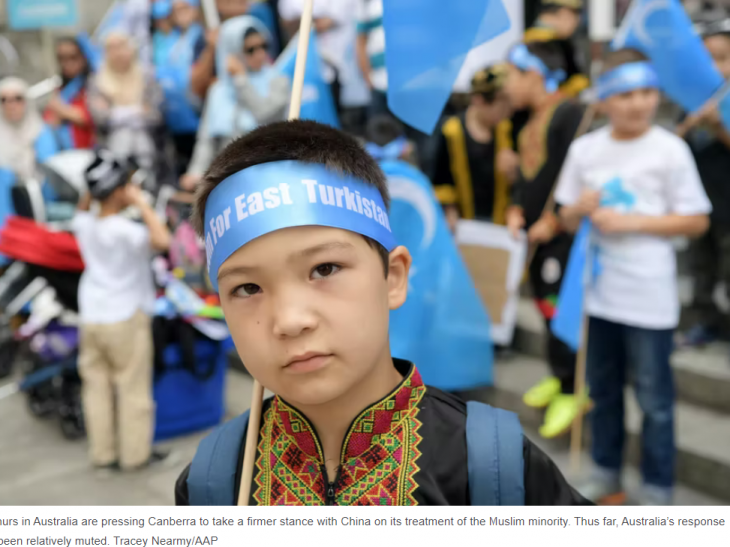 Prof Nurettin Akcay:  Amid Tensions With Turkey, China Is Putting the Kurdish Issue in Play