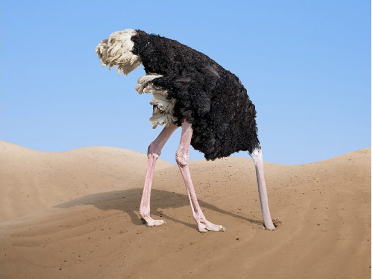 ‘Erdogan has his head in the sand,’ says analyst on Turkish economy