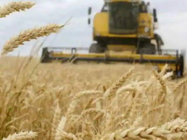 Middle East (and Turkey too) to suffer from the grain shortage: Russian attack disrupts Ukraine’s supply chain