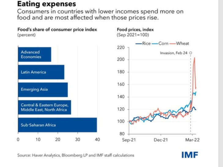 IMF:  War-Fueled Surge in Food Prices to Hit Poorer Nations Hardest