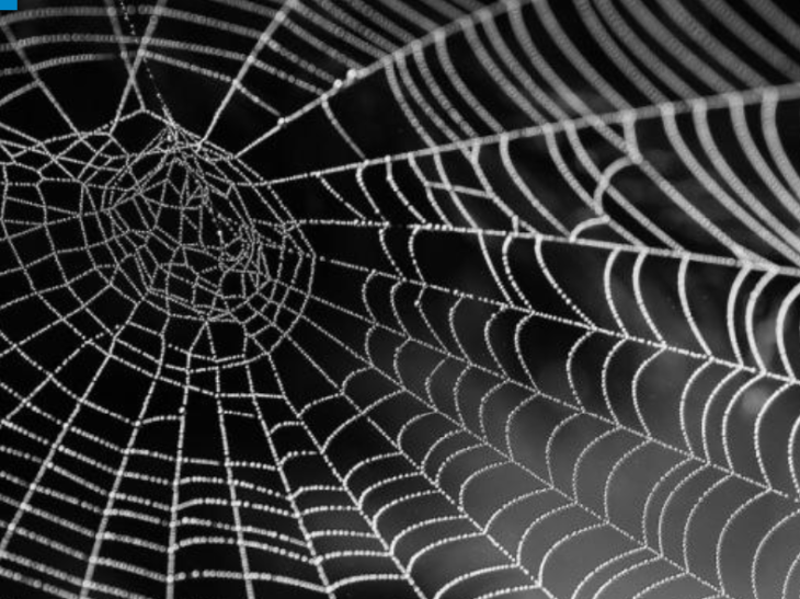 Henry J Barkey:  A tangled web for Turkey in Russia’s war with Ukraine