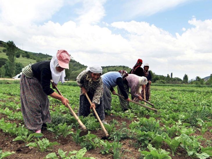 Farming sends a loud SOS