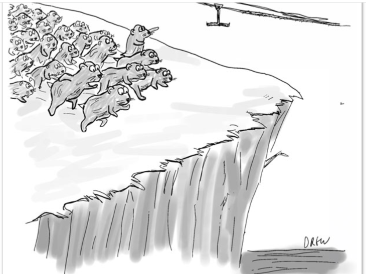 Tim Ash:  Where is the Turkish Lira headed?