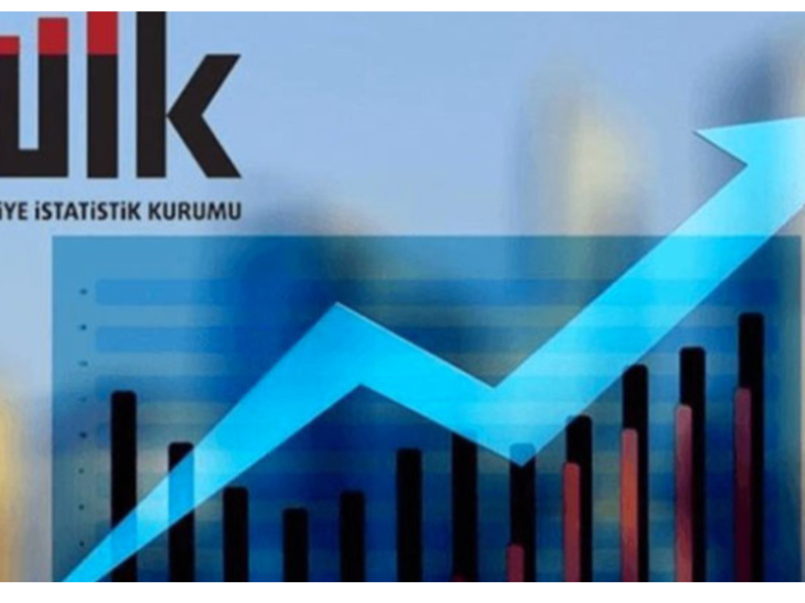 Bloomberg:  Turkey’s Chief Inflation Statistician Quits in Latest Departure