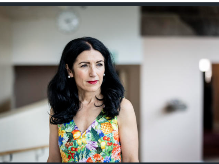 Meet the former Kurdish rebel holding up Sweden’s NATO bid