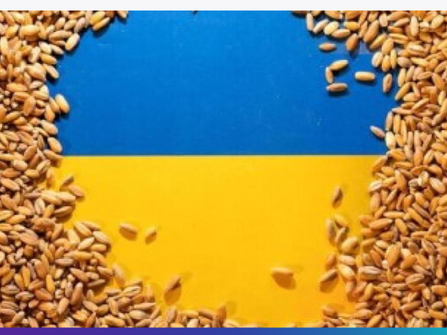 Ukraine grain corridor exports reach 6 million tons