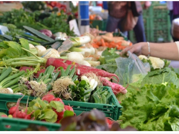 Turkey Food Retailers: Margin pressure but growth momentum maintained