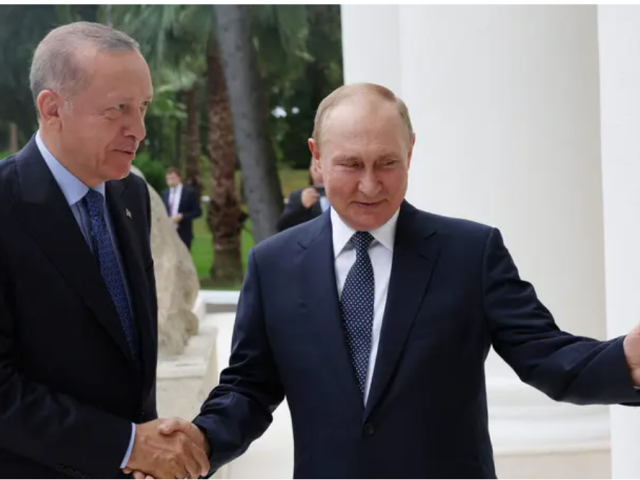 Erdogan set to discuss Ukrainian grain deal with Putin in Russia