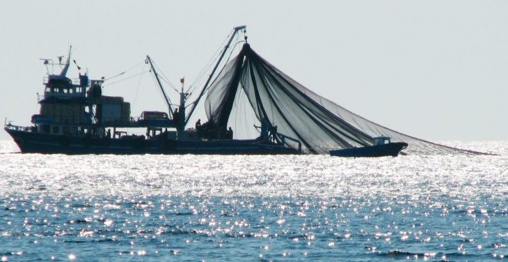 Fishing policy must be changed in Turkey: Expert
