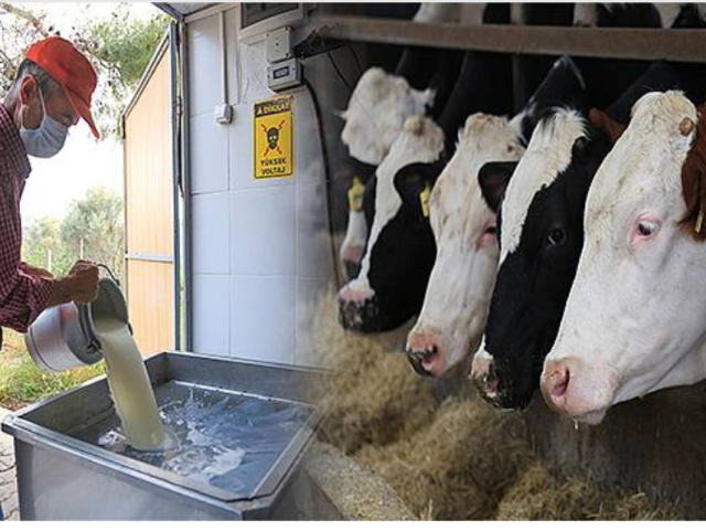 New Threat to Turkish Inflation: Low Raw Milk Prices