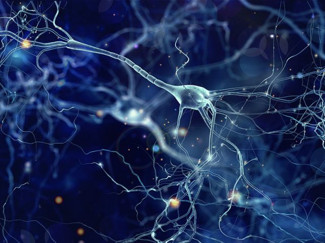 Neuralink’s first brain implant is a success