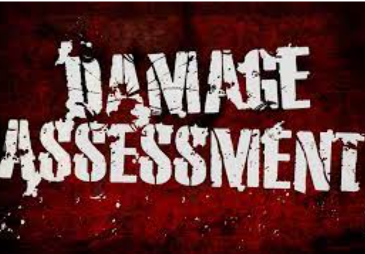 BofA and Fitch report first damage estimates from the quake