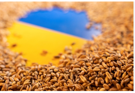 Turkey, Russia, Ukraine to discuss grain deal: DM