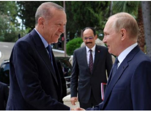 Real Turkey Channel video:  Putin and Erdogan: If the first goes, the other?