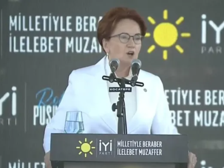 IYI Party chairwoman puts an end to local election alliance hopes