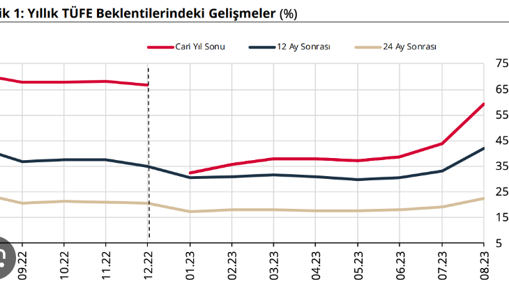 ANALYSIS:  Unruly inflation expectations complicate CBRT governor Erkan’s job
