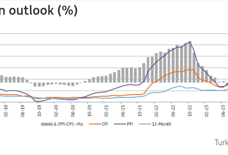 ANALYSIS:  Turkish inflation treads water in October, outlook  still grim