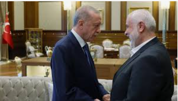 Why does Erdogan support HAMAS?