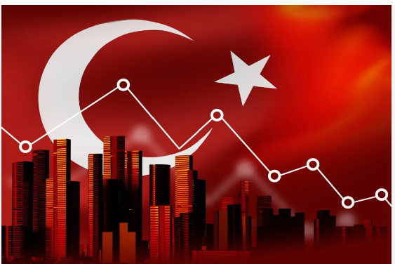 ANALYSIS:  2024 Macro Outlook for Turkey