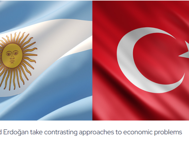David Lubin:  Argentina and Türkiye: a tale of two adjustments