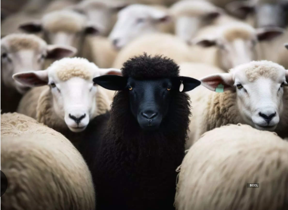 Robert Ellis: Turkey is the Hole in the Western Security Bucket