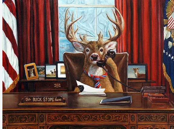 Cyprus Economy Bank: FX turbulence stopped by CBRT measures; stock market collateral damage