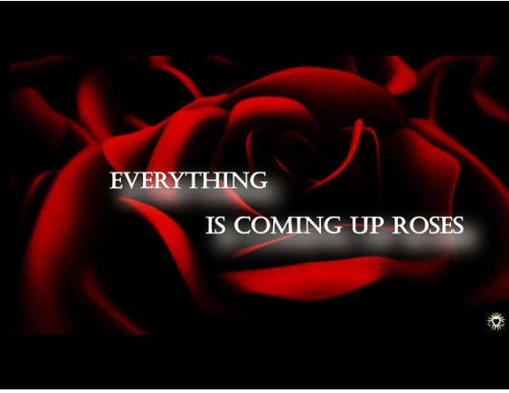 BofA ML Türkiye  Focus: 1Q pessimism is likely temporary