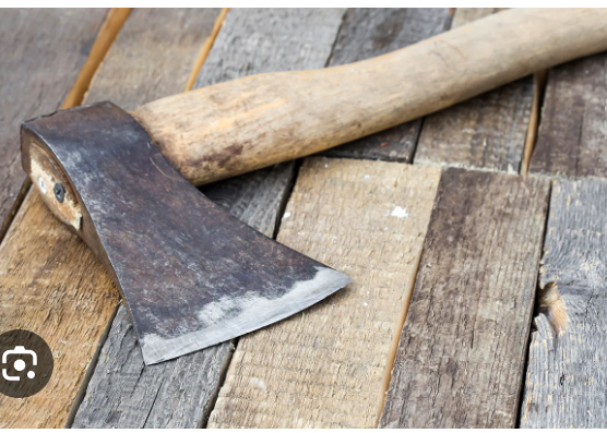 Economy czar Simsek to initiate spending cuts