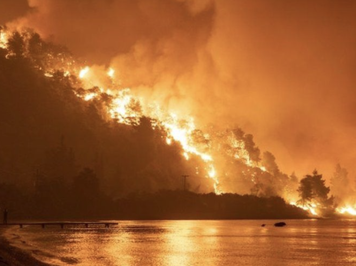 Türkiye offers assistance to Greece as wildfires threaten Athens