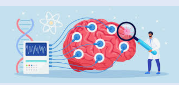 Why Turkey remained “irrational”?