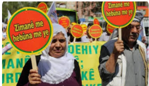 Middle East Eye scoop:  37 DEM Party mayors to be ousted