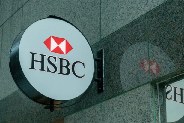 HSBC: Turkish Consumer Companies Deploy Adaptive Growth strategies