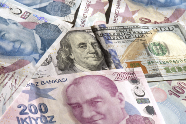 Türkiye Fund Market Trends: Portfolio Value Surges 75pct