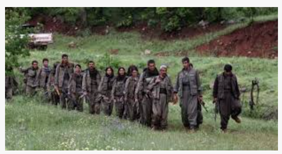 COLUMN:  A Turkey Without Terrorism: Both Near and Far