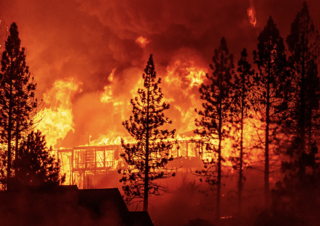 Wildfire Crisis in İzmir: Two Dead, Dozens Evacuated as Flames Rage Across Three Districts