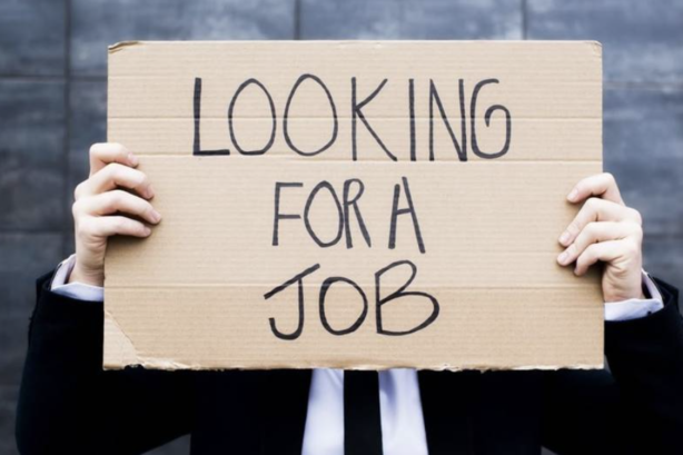 Turkish Employment Crisis: 516,000 Jobs Lost in a Single Month