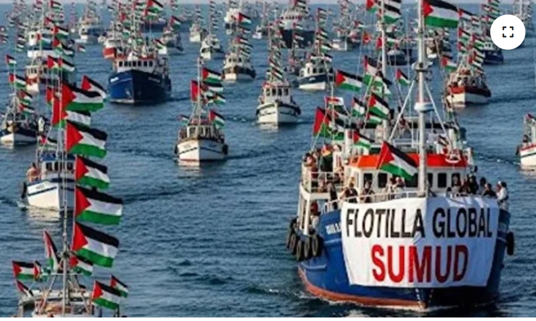 Four Turkish MPs Join Sumud Flotilla as Crew Reports Nighttime Boarding Attempt by Israeli Forces