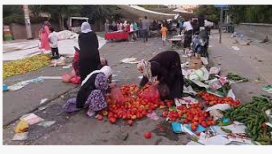 Istanbul Report Warns Food Insecurity Concerns at Record High