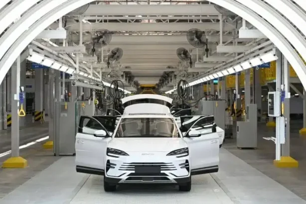 BYD’s Billion Dollar Turkey Factory Faces Cancellation Claims